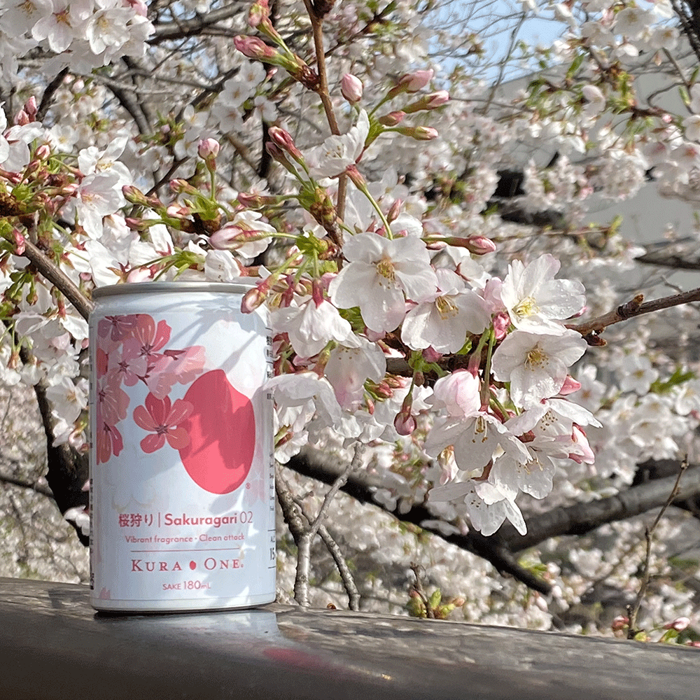 KURA ONE® 桜狩り02 純米 五百万石 千代むすび 日本酒缶180mL